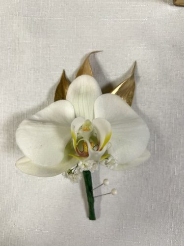 IMG 7804
